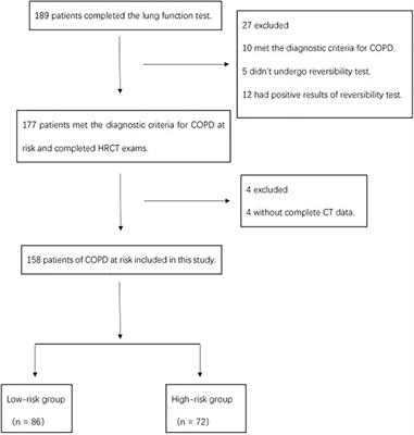 A Preliminary Study on the Relationship Between High-Resolution Computed Tomography and Pulmonary Function in People at Risk of Developing Chronic Obstructive Pulmonary Disease